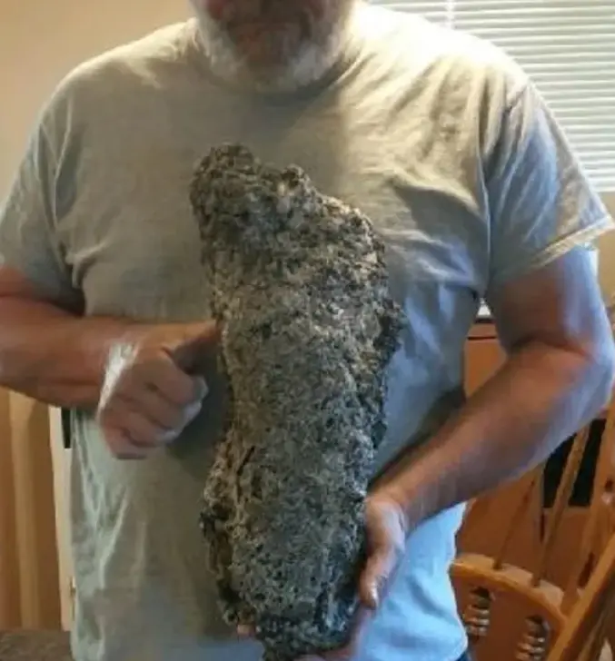 A museum visitor holding a textured Bigfoot footprint cast